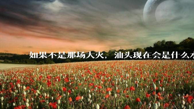 如果不是那场大火，汕头现在会是什么水平？