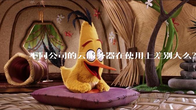 不同公司的云服务器在使用上差别大么？