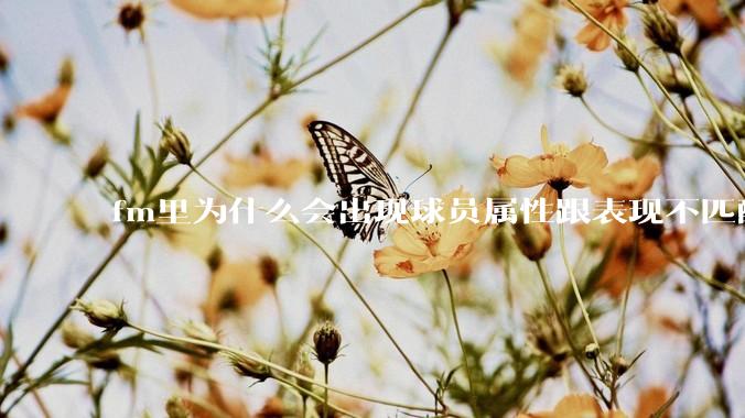 fm里为什么会出现球员属性跟表现不匹配的现象？