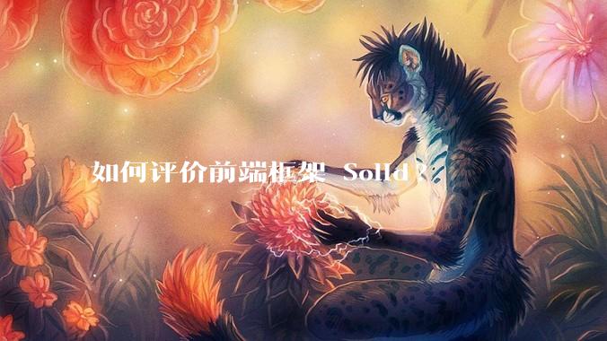 如何评价前端框架 Solid?