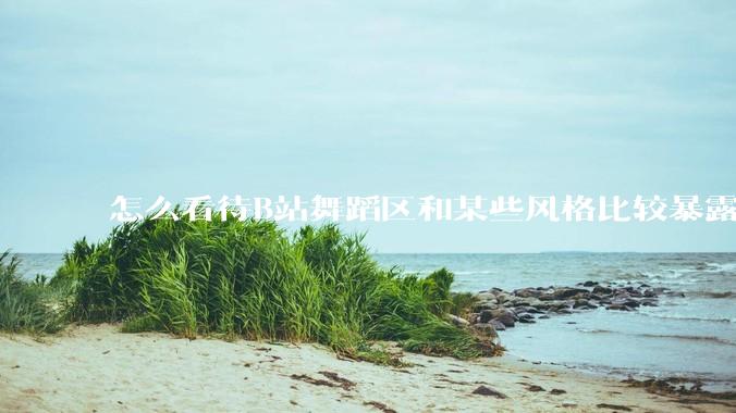怎么看待B站舞蹈区和某些风格比较暴露的up？