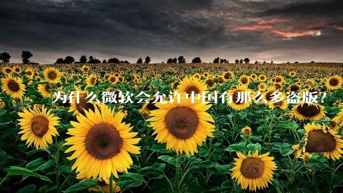 为什么微软会允许中国有那么多盗版？