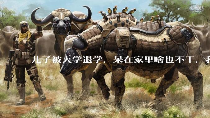 儿子被大学退学，呆在家里啥也不干，我们该怎么办？