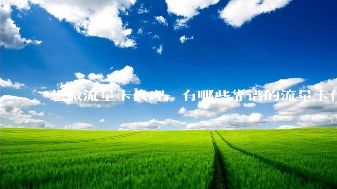 想做流量卡代理，有哪些靠谱的流量卡代理平台？