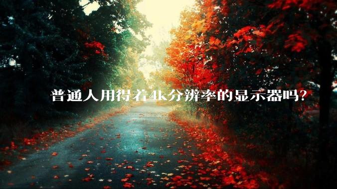 普通人用得着4k分辨率的显示器吗？
