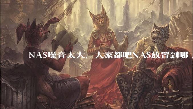 NAS噪音太大，大家都吧NAS放置到哪了？