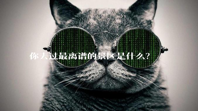 你去过最离谱的景区是什么？