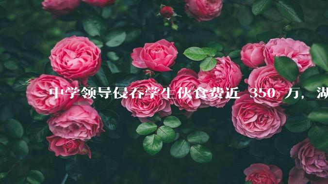 中学领导侵吞学生伙食费近 350 万，湖南一中学 2 人被判刑，如何看待此事？暴露出学校管理哪些问题？