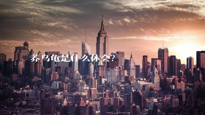 养乌龟是什么体会？