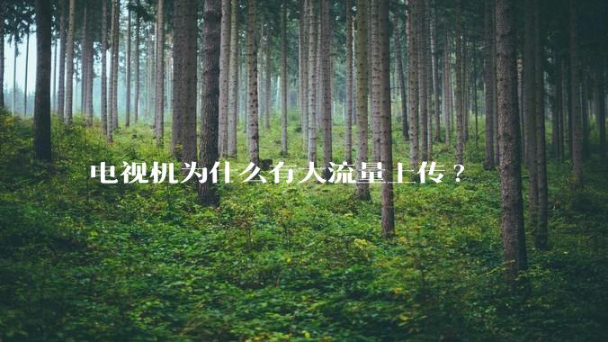 电视机为什么有大流量上传?
